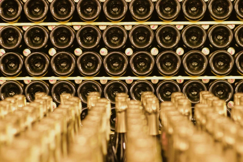 rows of wine bottles sitting next to each other in a wine cellar