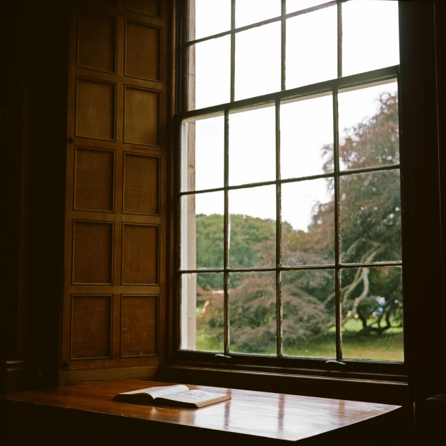 window view looking out over a lush green park