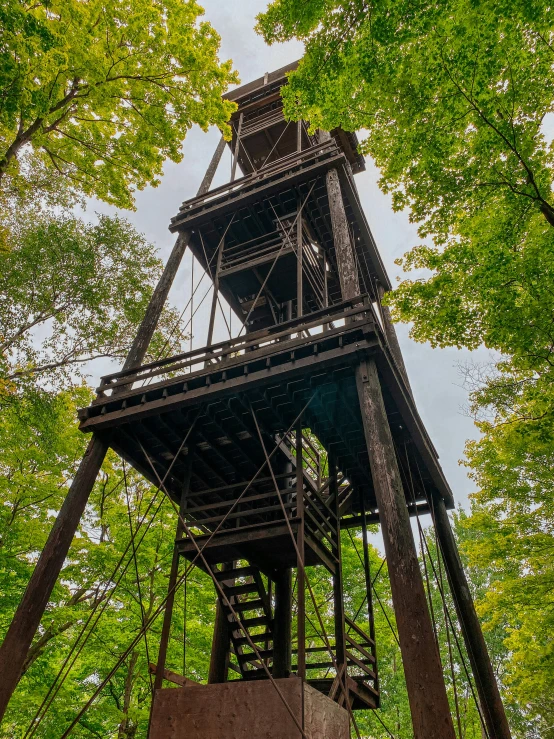 a water tower standing among some trees