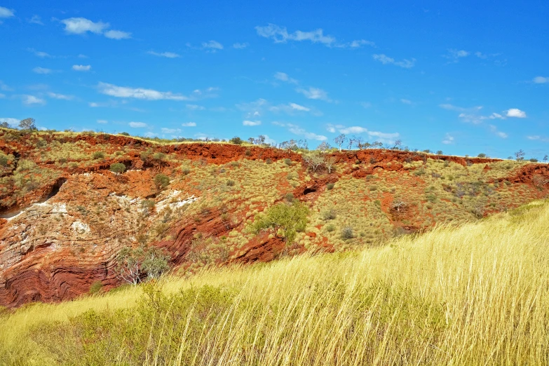 a horse is walking along a grassy hillside