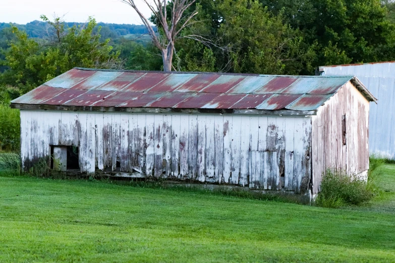 two old sheds with old paint in a grassy field