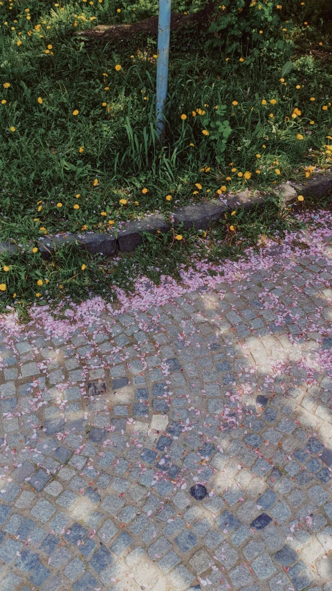 a street sign on the sidewalk next to flowers