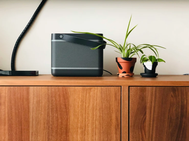 some potted plants sitting on top of a wood dresser