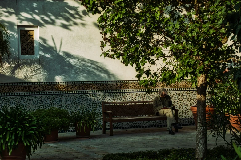 a person sitting on a bench near some plants