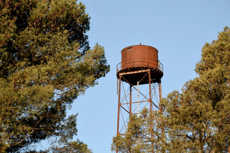a rusted water tower sitting among trees