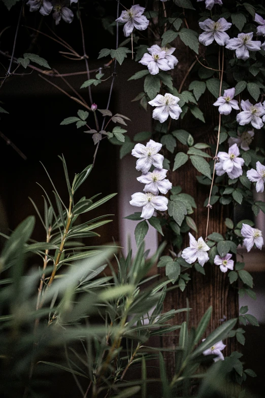 an arrangement of flowers with green leaves and a brown building