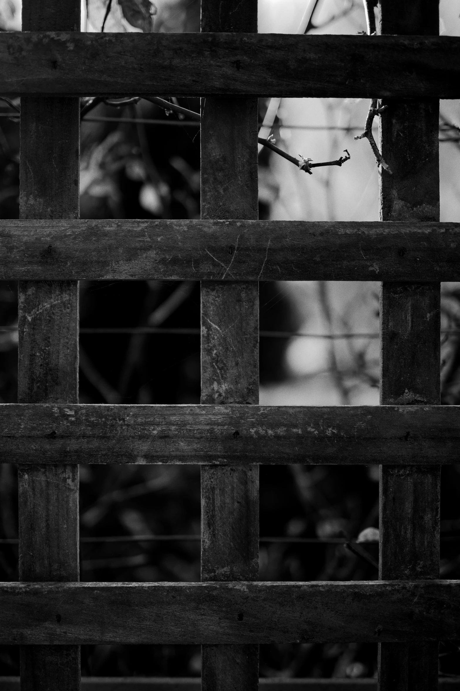 black and white pograph of a fence with a bird on top