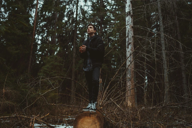 a man stands on a stump in the woods