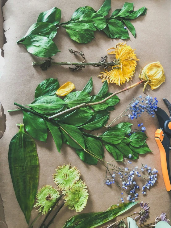 a couple of scissors sit next to some flowers