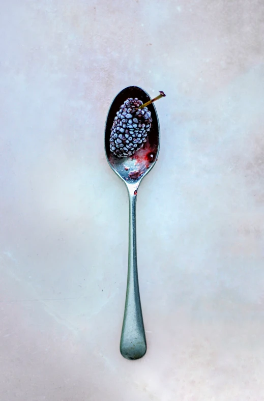 the spoon is holding berries and a small bird