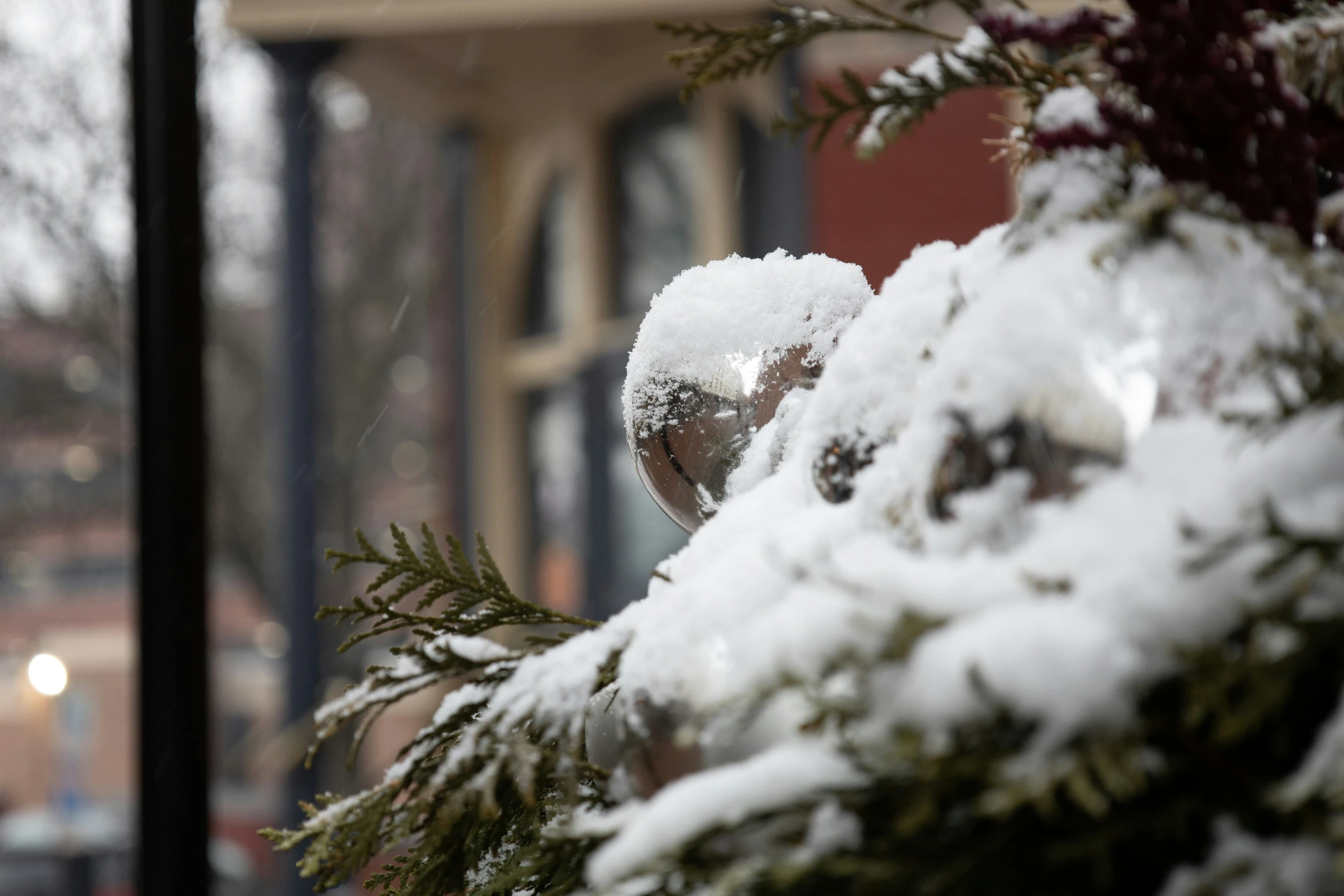 some snow and some plants outside the window