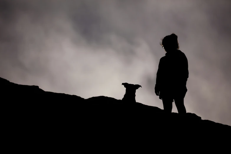 a woman with a dog on a hill at dusk