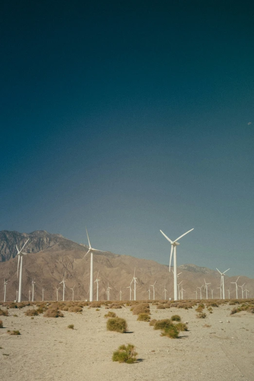 a big group of windmills and a mountain