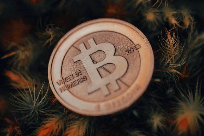 the image shows a bitcoin on a small piece of wood