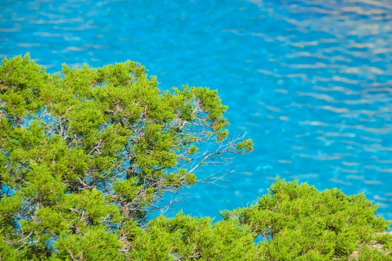 the sea is a blue, blue and green background