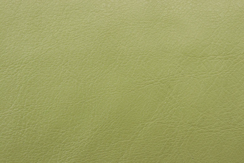 an up close view of green leather