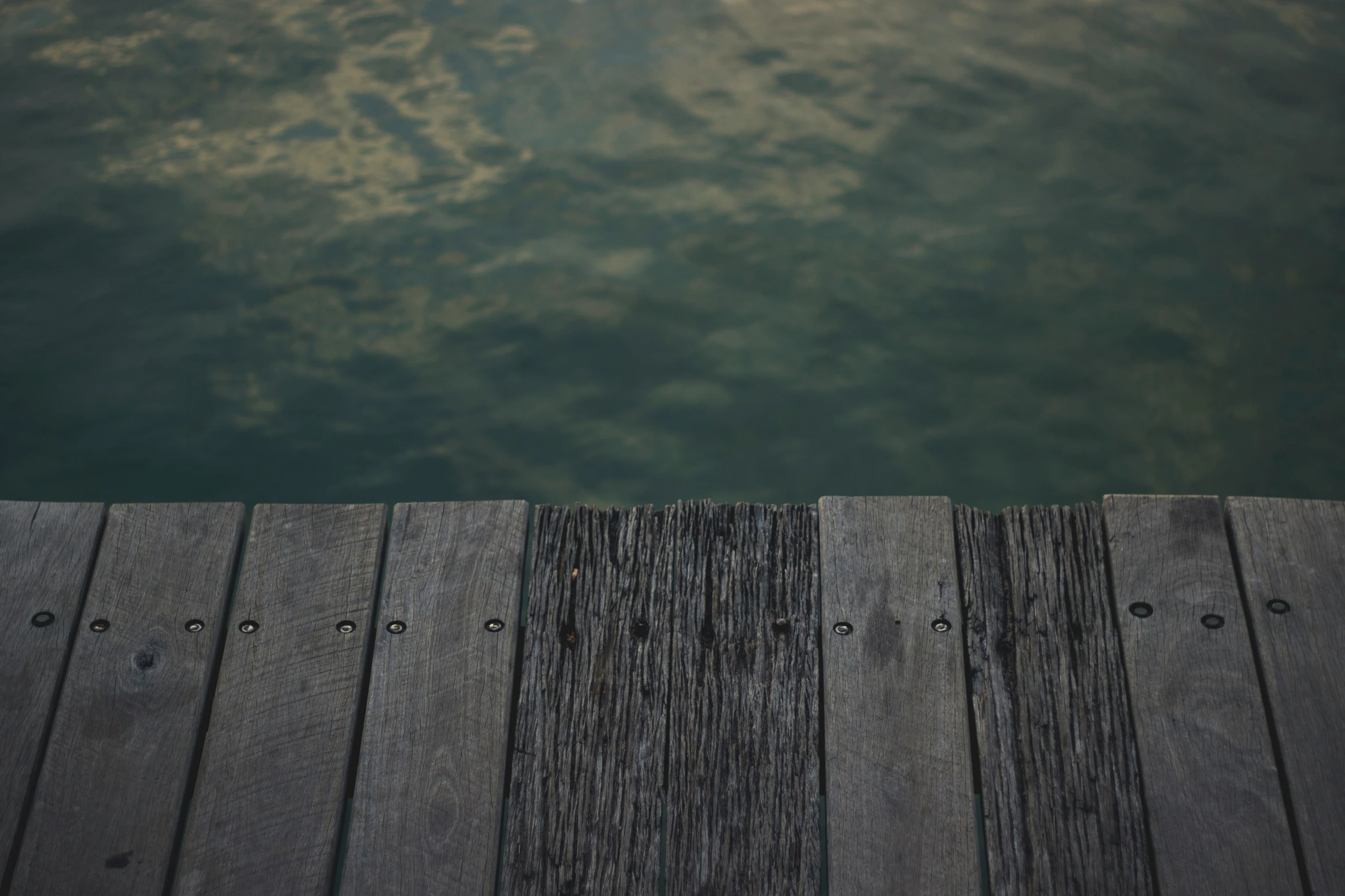 a pigeon stands alone on a dock overlooking the water