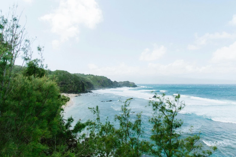 the coast of the ocean from top of trees