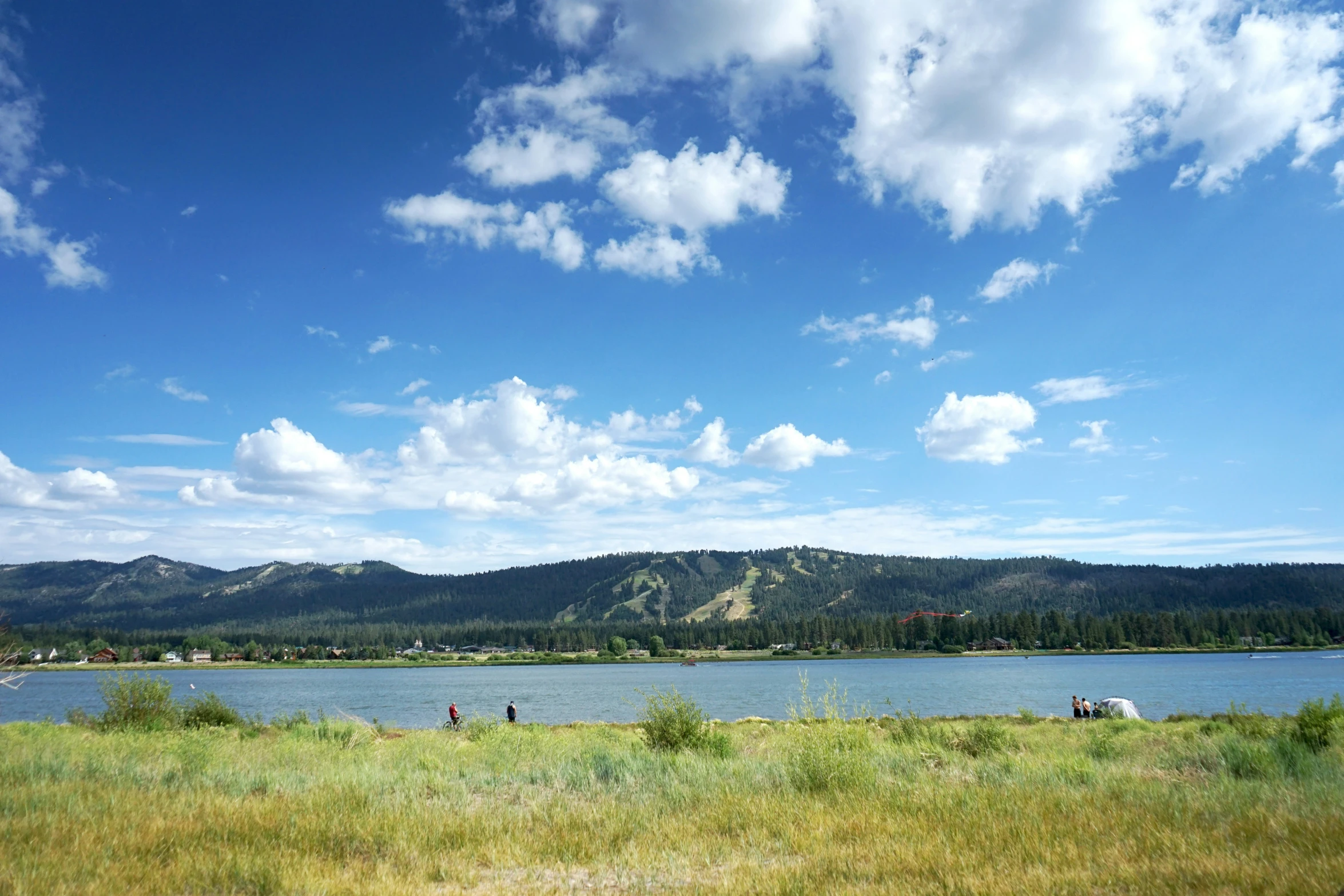 a large open area with water and grass in front