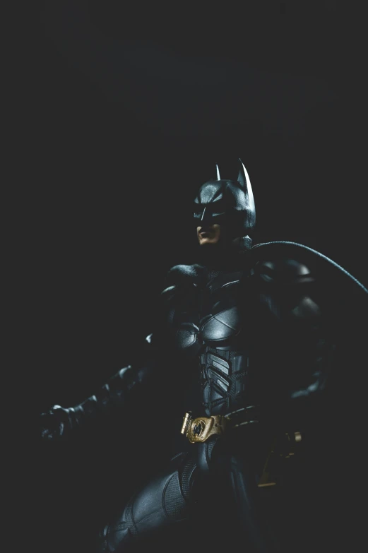 batman posing for the camera in his full costume