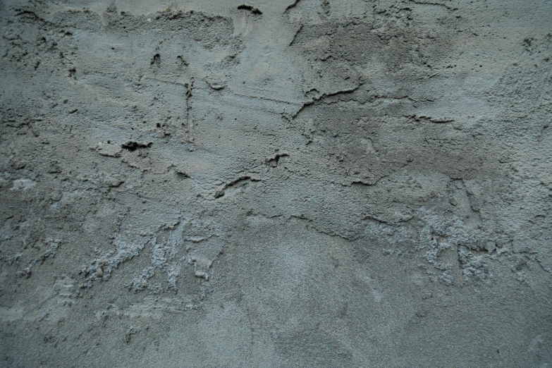 several animal tracks in the sand of the beach