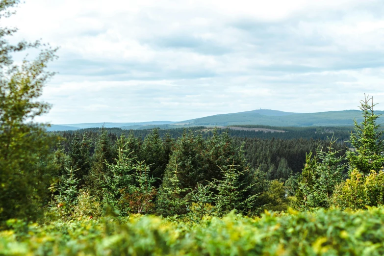 a view of the mountains, trees and hills that overlook