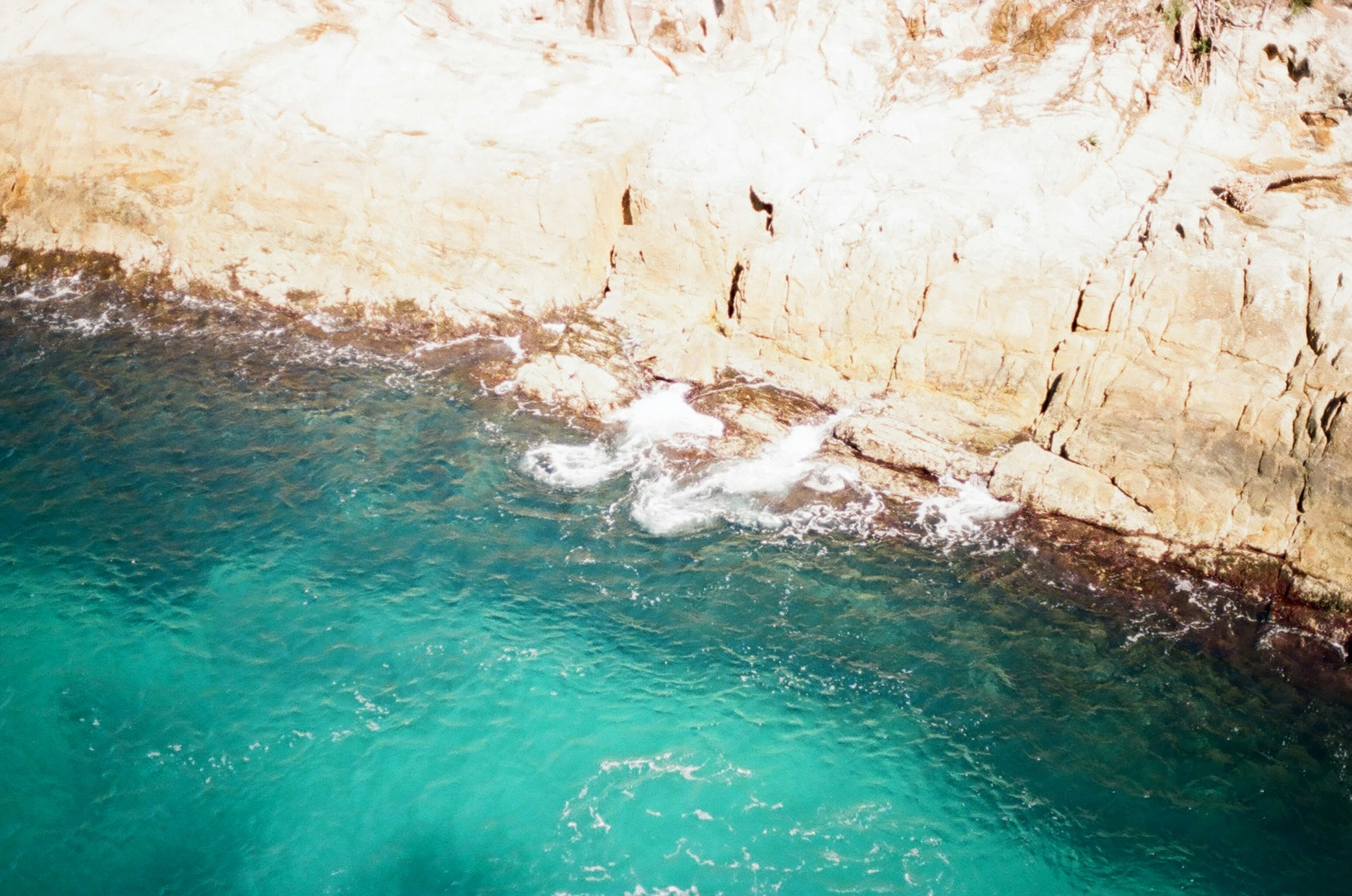 an aerial s of a green water and rocky shoreline