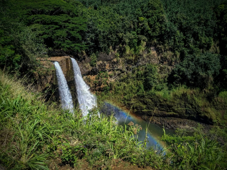 a small water fall coming from below with lush greenery