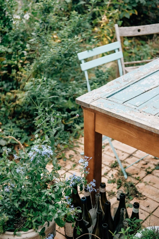 bottles of beer sit on the ground next to some flowers and shrubbery