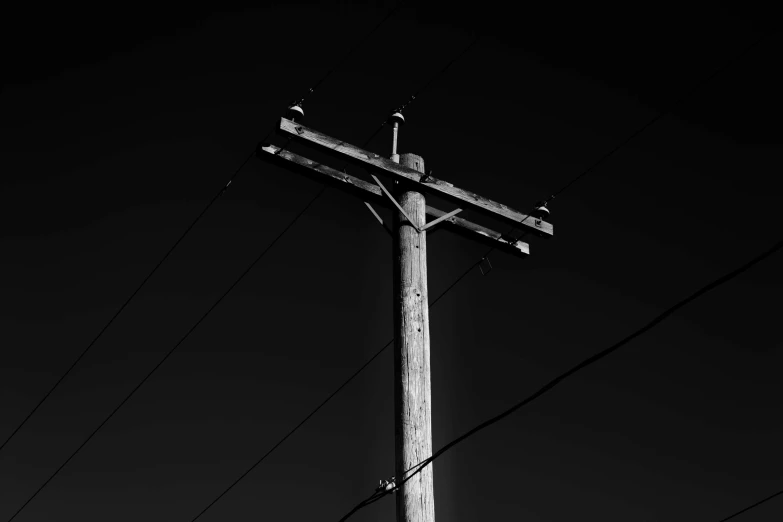 a pole with two birds standing on top