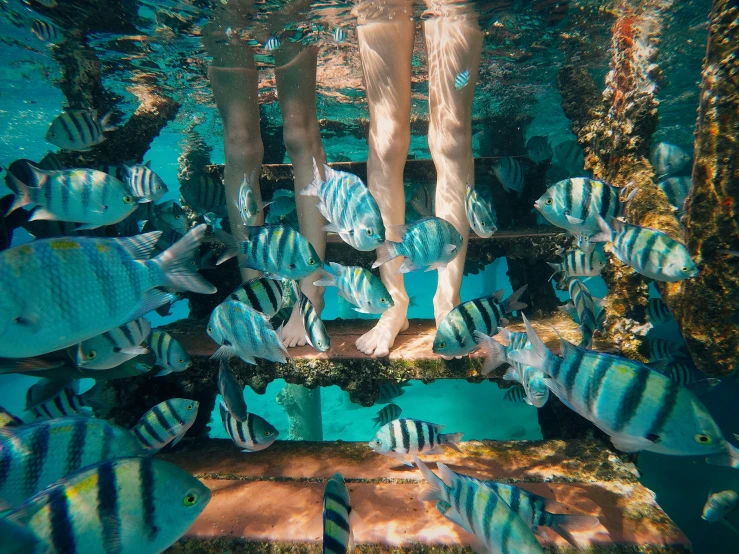 a girl is standing in the water as fish swim by