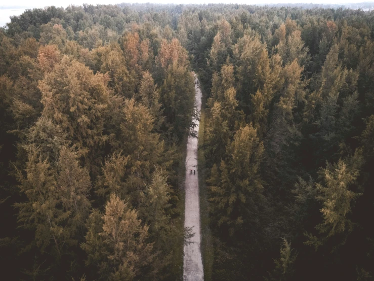 aerial s of a group of people riding bikes in front of a large forest