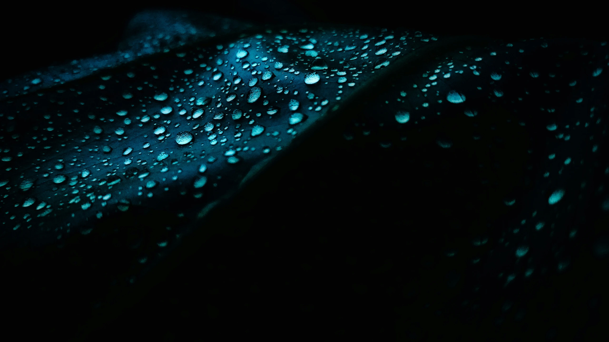 the rain is dripping on the dark surface