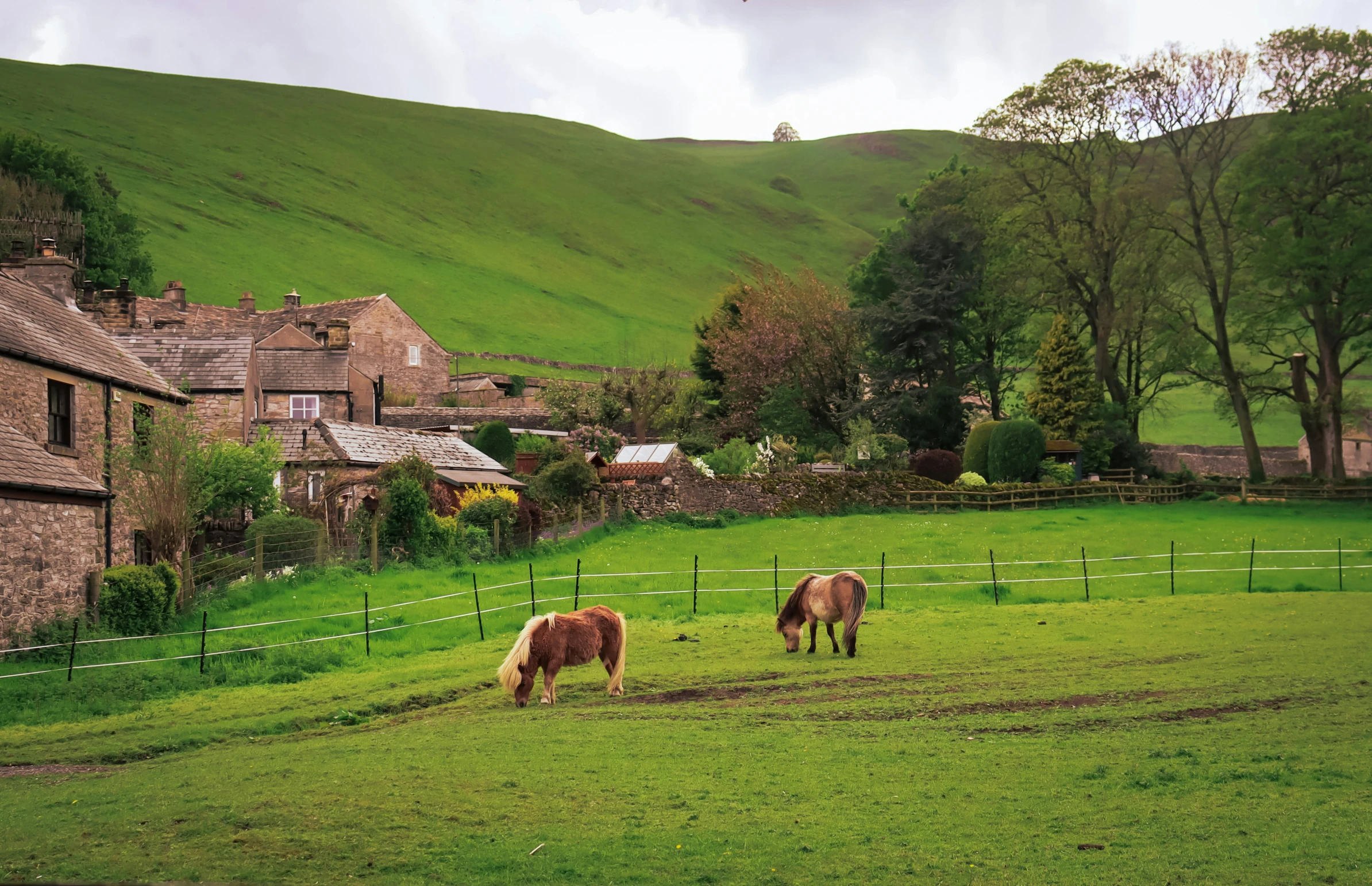 two horses are grazing in the open grass in front of old brick buildings