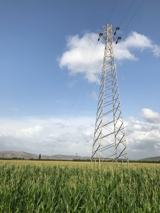 a tall tower in the middle of some grass