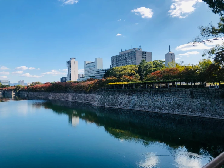 a river and trees along the bank of the city