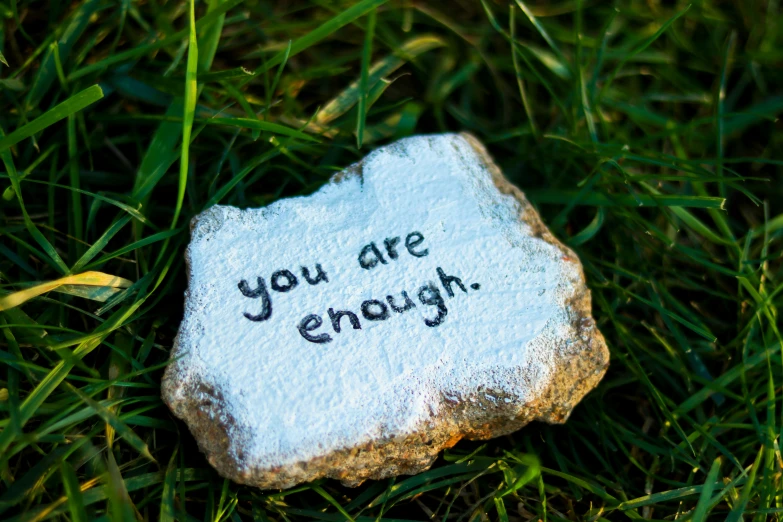 a rock with a message written on it laying in the grass