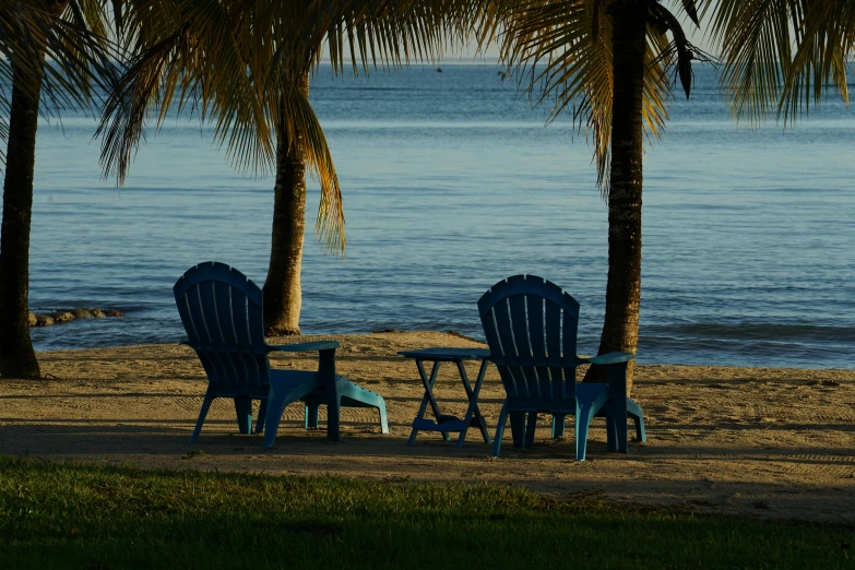 two adiron chairs sitting by a palm tree on the beach