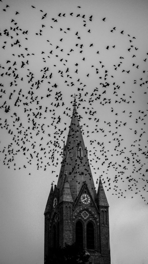 a black and white po with a building that has birds flying in the air over it