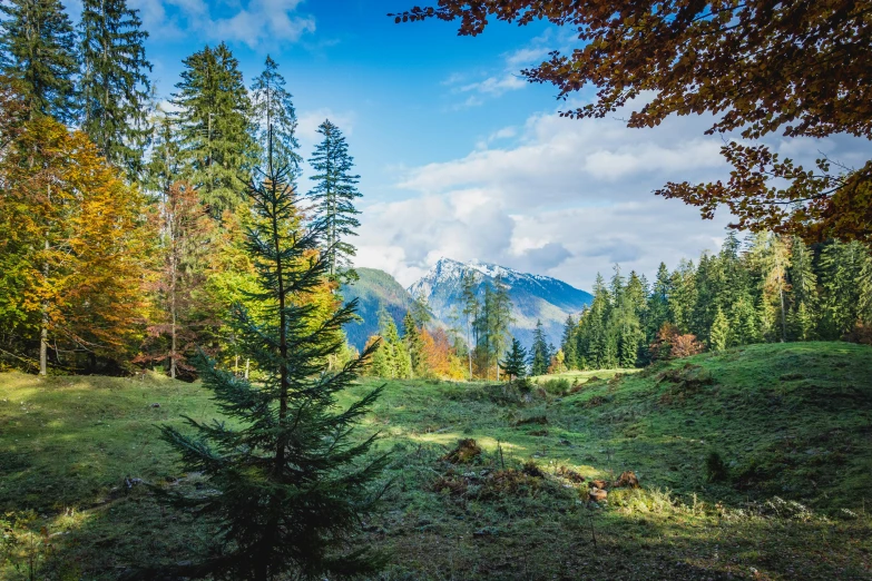 an outdoor view of mountains, and trees