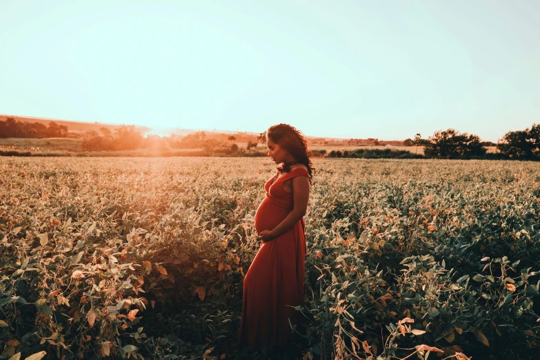 a woman standing in a field of flowers at sunset