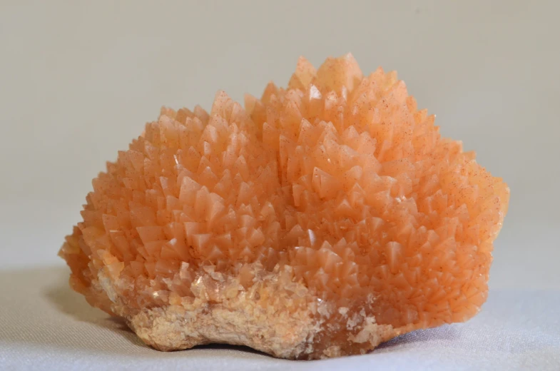 close up of orange rock type item that looks like soing