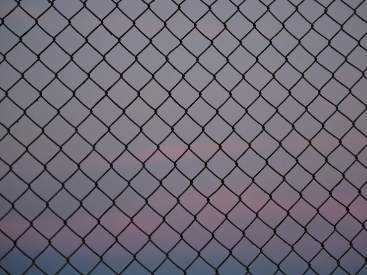 a black bird on the wire fence looking up