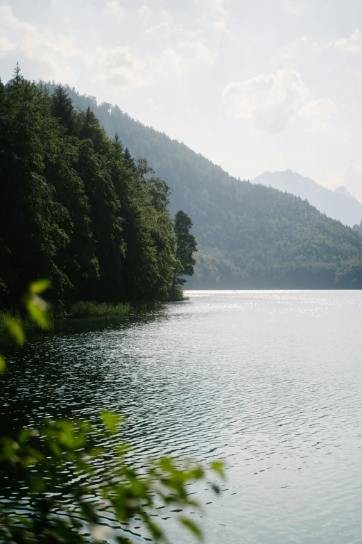 a body of water with trees in the background