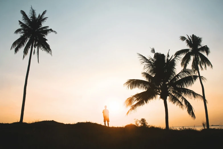 a person stands on top of a hill between palm trees