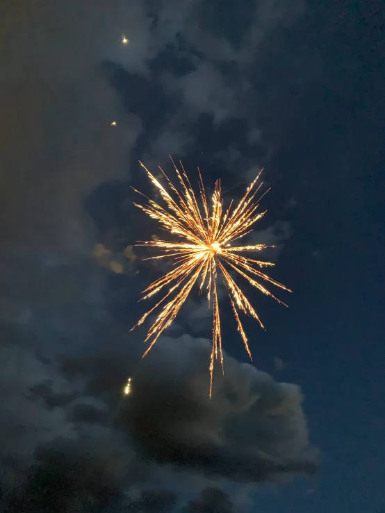 a firework is shining in the night sky