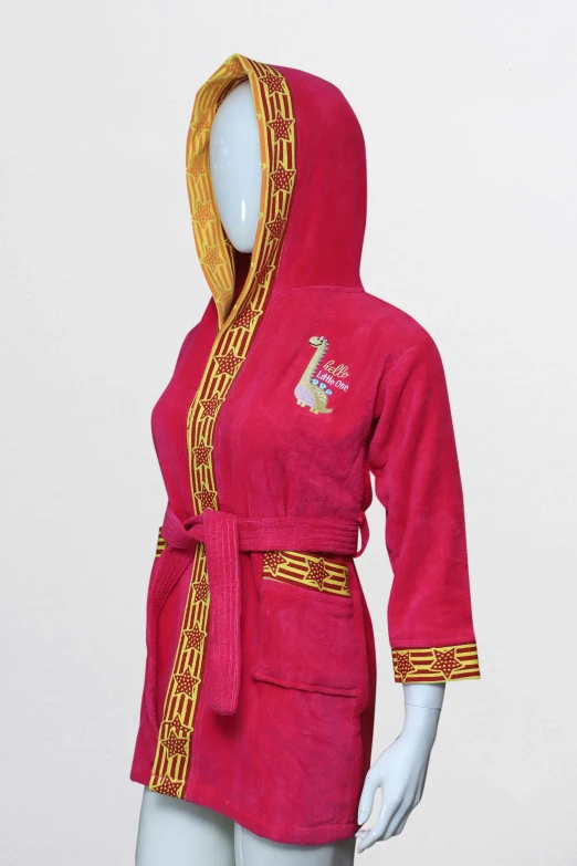 a robe with gold trim and embroidered designs