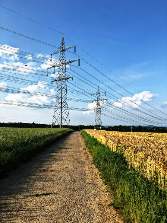 a field with lots of dry grass and power lines