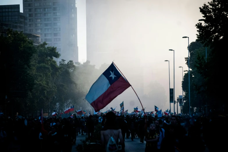 a large group of people in the street, with flags