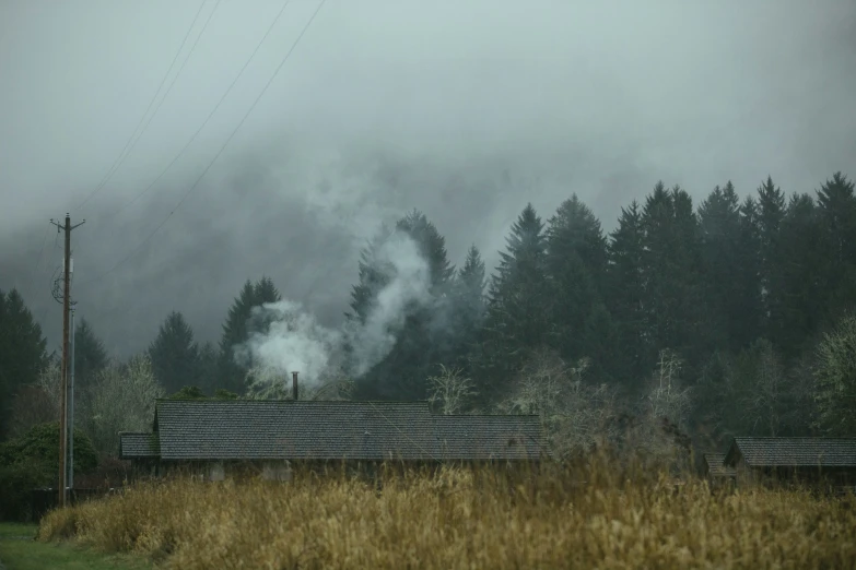 smoke pouring from a pipe into the air in front of trees